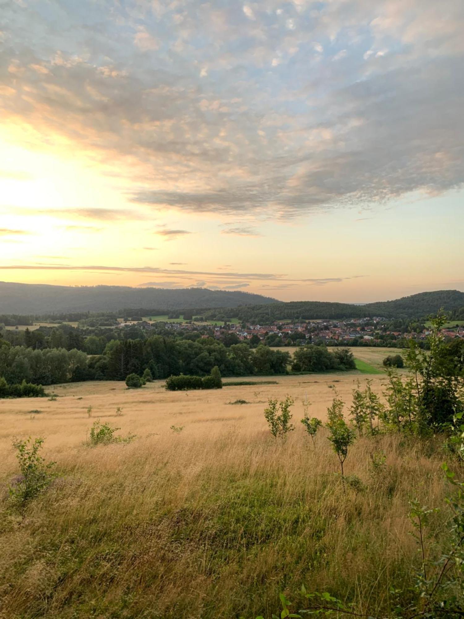 Wolfs-Blick Vila Langelsheim Exterior foto